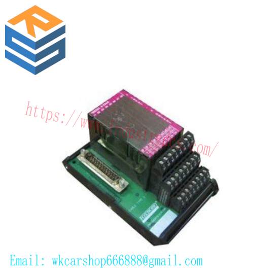 P0916AE  I/A Series Module  Foxboro