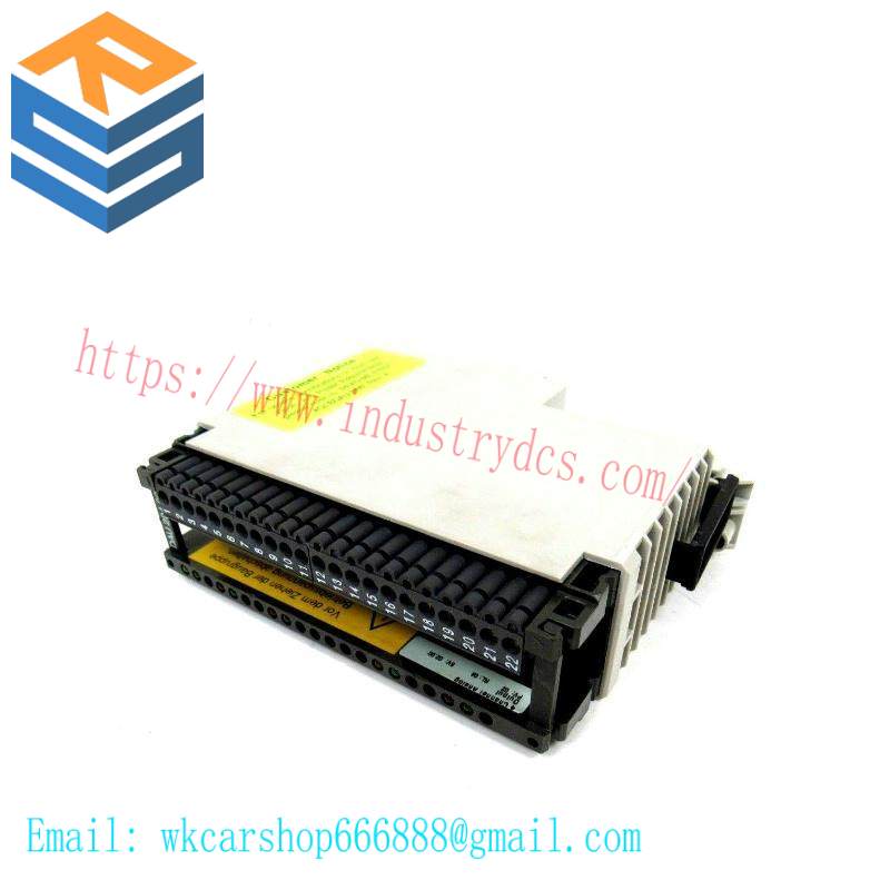 Schneider AS-BDAU-204 ANALOG OUTPUT MODULE
