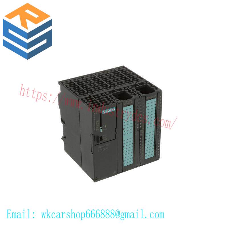 SIEMENS 6ES7313-5BG04-0AB0 DIGITAL OUTPUTS
