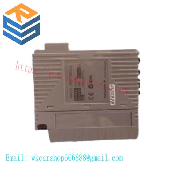 YOKOGAWA AAI143-H00 S1