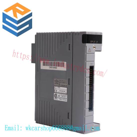 Yokogawa AAI543 Analog Output Module