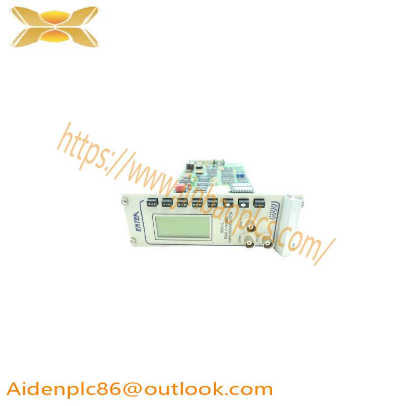 Entek 6622LS Dual Channel Vibration Monitor