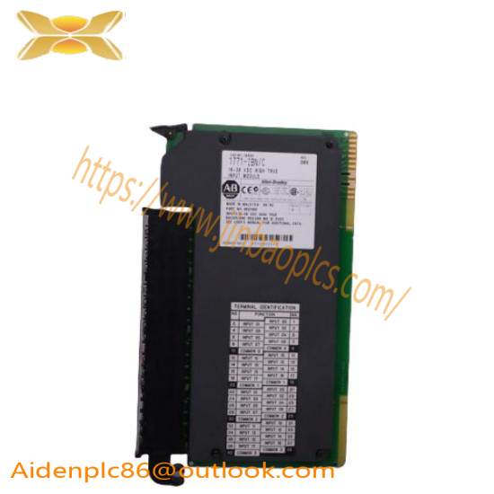 810019952R