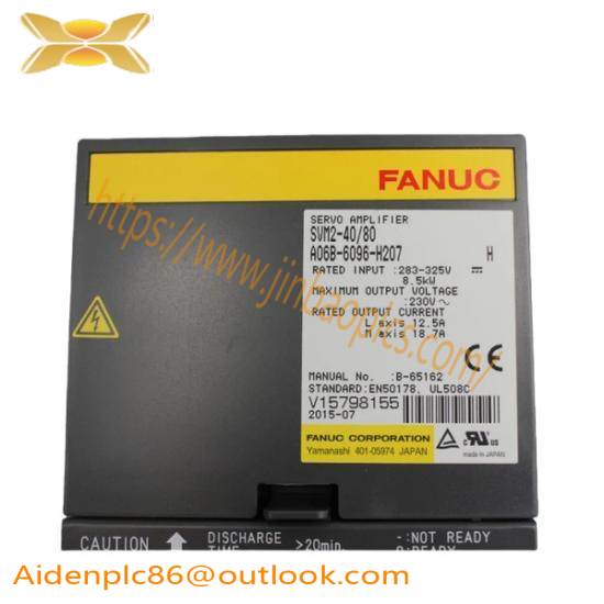 Fanuc A06B-6096-H207  GE Servo Module