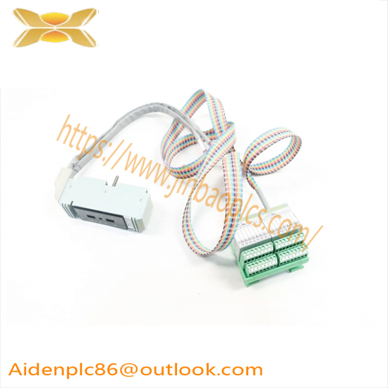 FOXBORO P0500SR Termination Cable Assembly