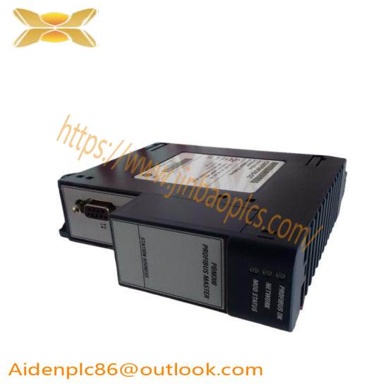 GE FANUC IC695PBM300
