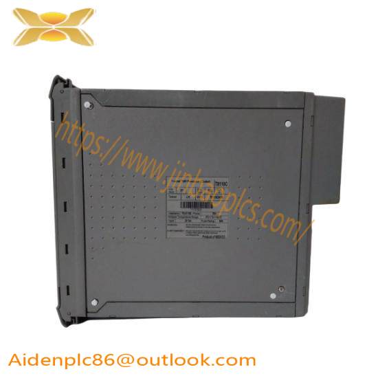 ICS TRIPLEX T8110C