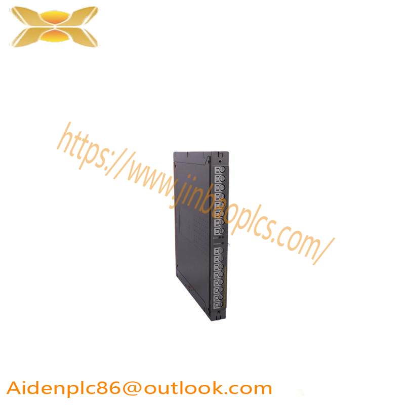 ICS TRIPLEX T811B Module