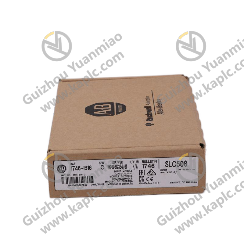 AB 1746-IO12: Dual-Channel Input/Output Module for Industrial Automation