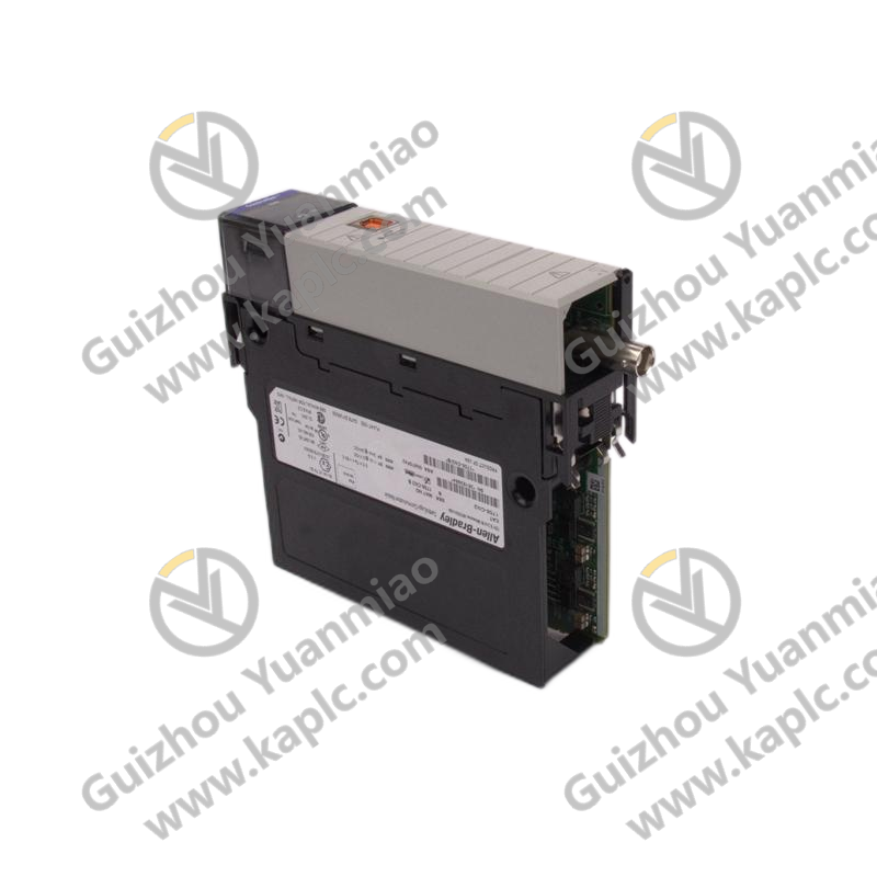 AB 1746-NIO4I: Analog I/O Module, Advanced Control Solutions