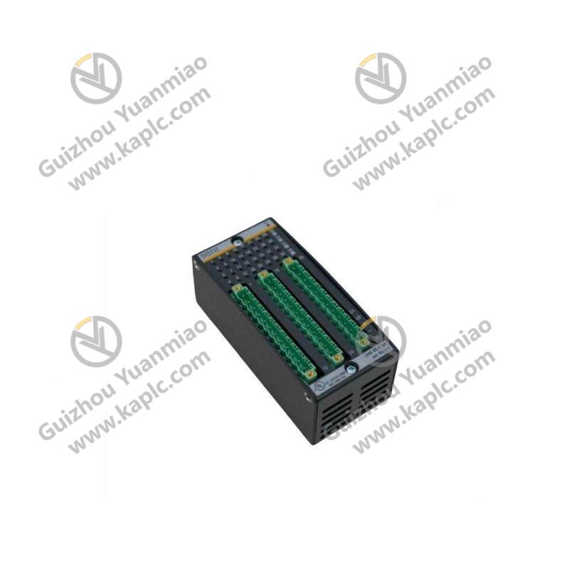 BACHMANN DI0232 - High-Performance Digital Input/Output Module