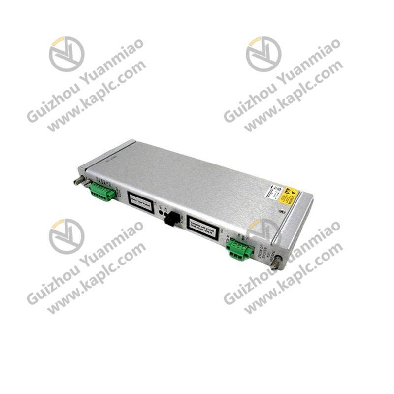 Bently Nevada 125800-02: High-Performance I/O Module