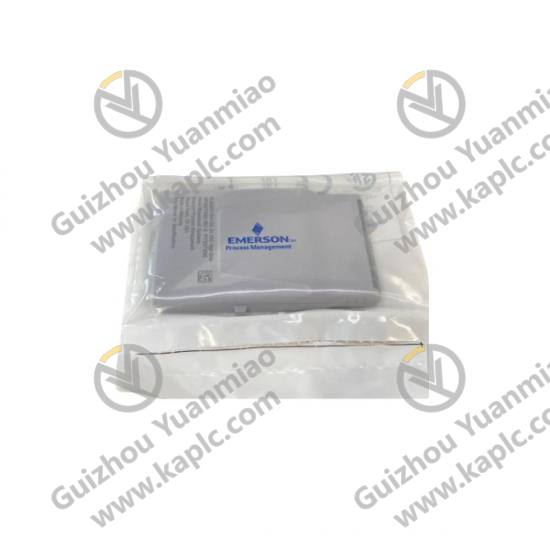EMERSON SE4031S2T2B1 High Precision