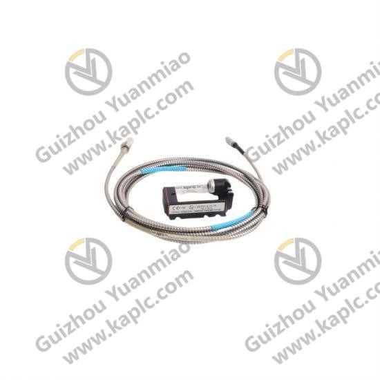 EMERSON 1C31197G02 Series Module