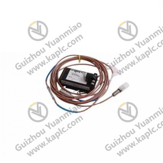 EMERSON SE4606T03 Precision Control