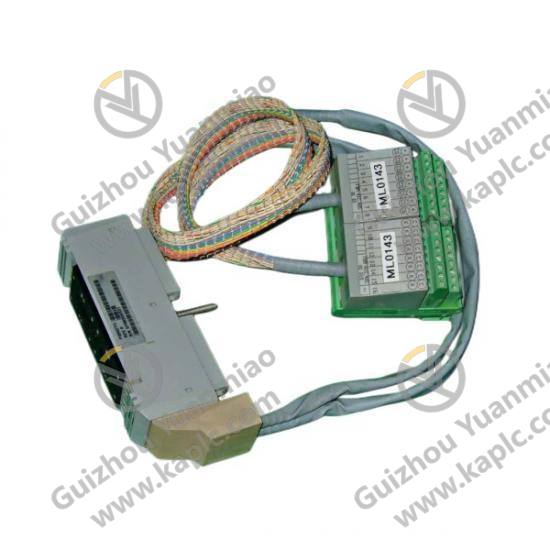 FOXBORO P0973DV Precision Control