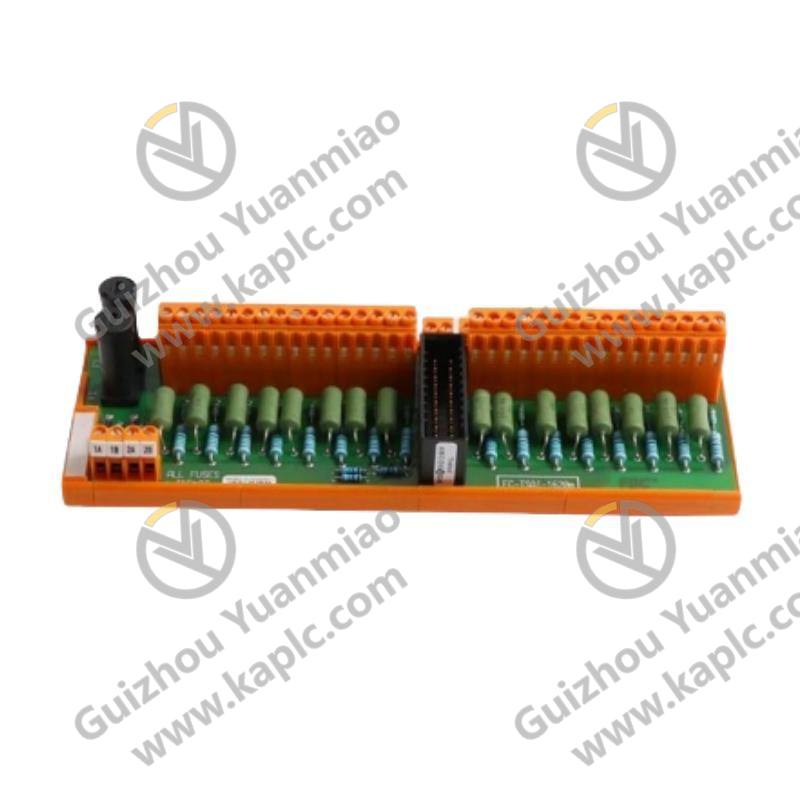 Honeywell FS-TIDI-1624: Digital Input Field Termination Assembly