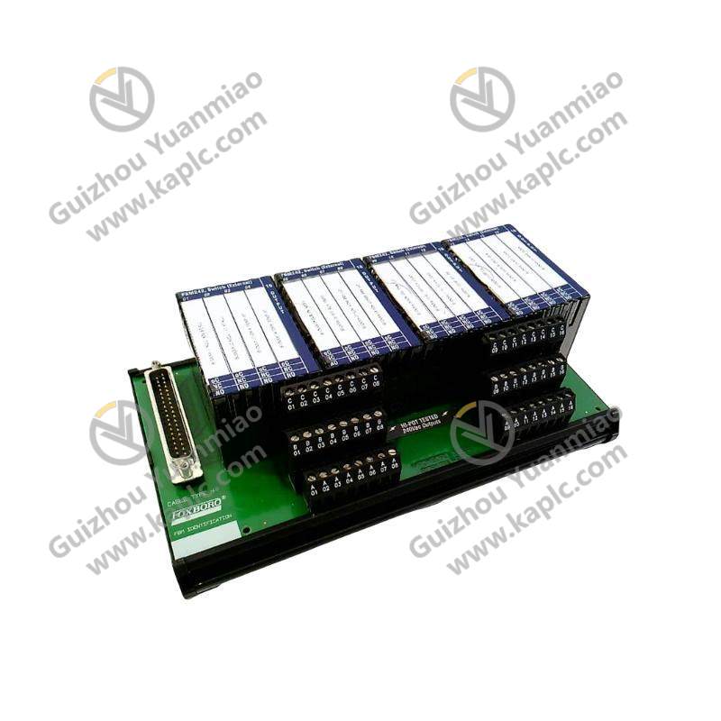 Foxboro PLC P0916NG: Advanced Terminal Assembly for Industrial Control Systems