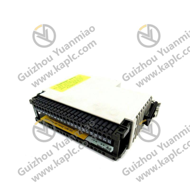 Schneider Electric AS-BDAU-204 Analog Output Module - Industrial Control Precision