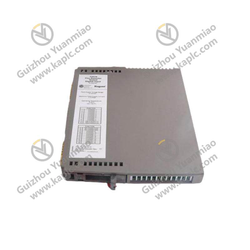 ICS TRIPLEX T9482 - Advanced Digital Input Module