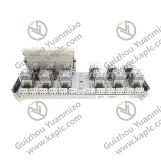 EMERSON 1C31199G02 Series Module