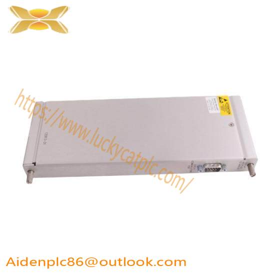 135813-01  Bently Nevada  Display Interface I/O Module