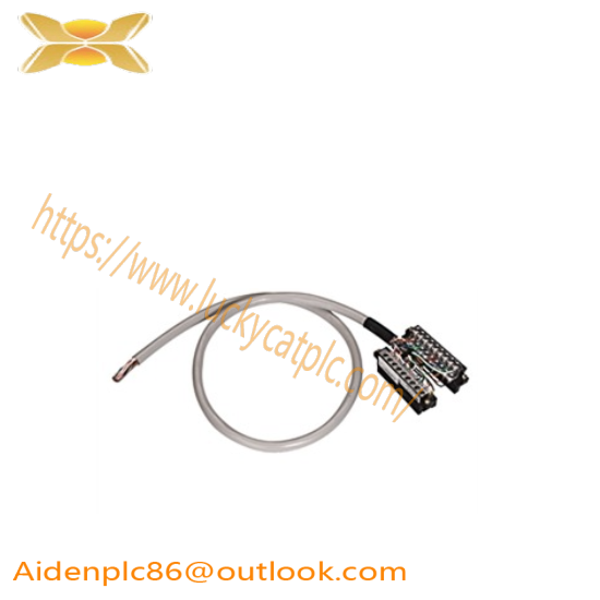 1492-CABLE050TBCH  Cable