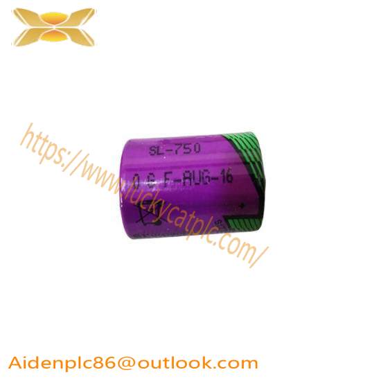 ABB SB808F 3BDM000199R1 Battery for RAM buffering