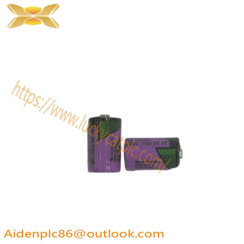 ABB SB808F 3BDM000199R1 SB 808F Battery for RAM buffering, 2 pcs