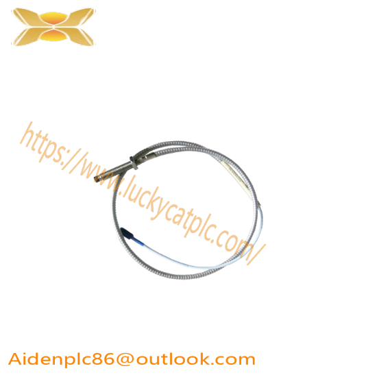 BENTLY 330104-00-10-10-02-CN