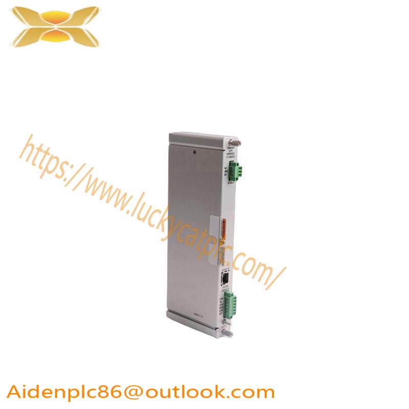 Bently Nevada 125736-01 I/O MODULE