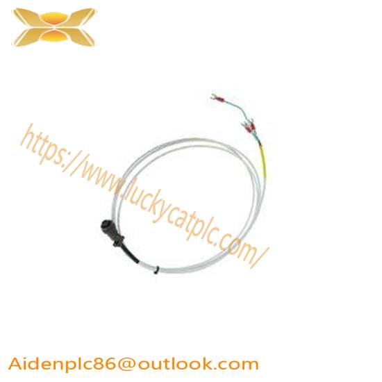 Bently Nevada 16925-12 Interconnect Cable