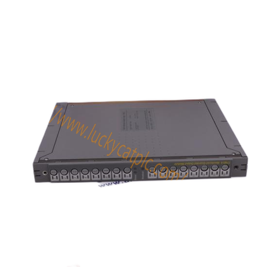 Bently Nevada 3300/16-03-01-00-01-00-00