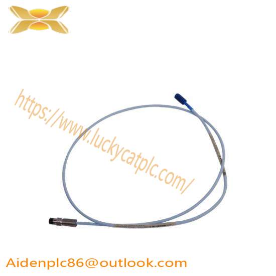 Bently Nevada 330106-05-30-15-02-00  TSI System
