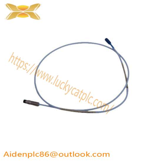 Bently Nevada Probe E2107/30/00/1/10 Extension Cable