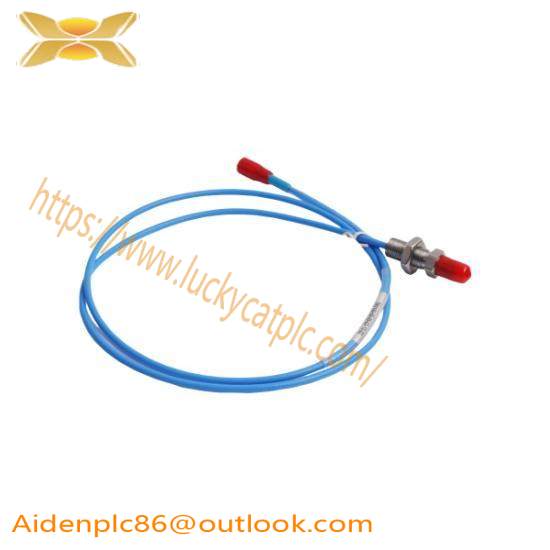 Bently Nevada WT0181-A45-B00 Extension Cable