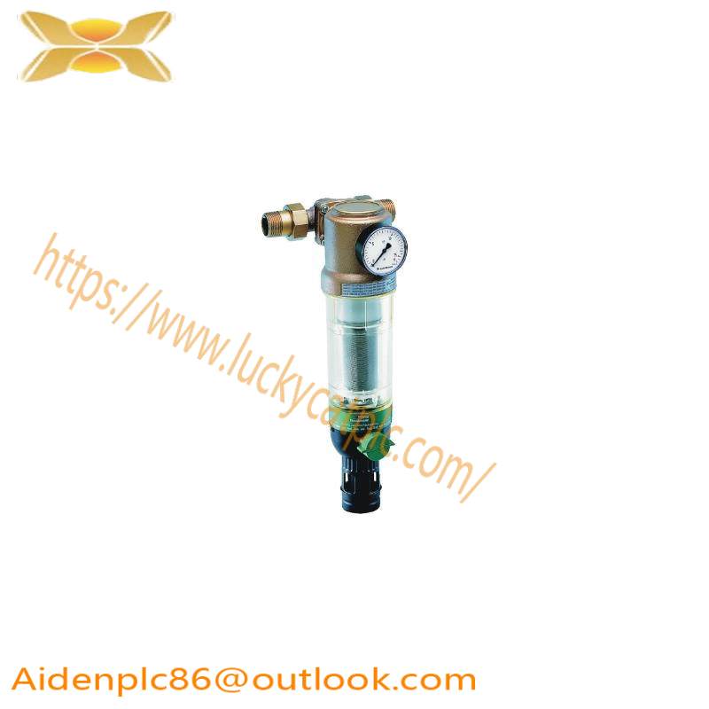 BRAUKMANN F76CS-1AA reverse rinsing filters