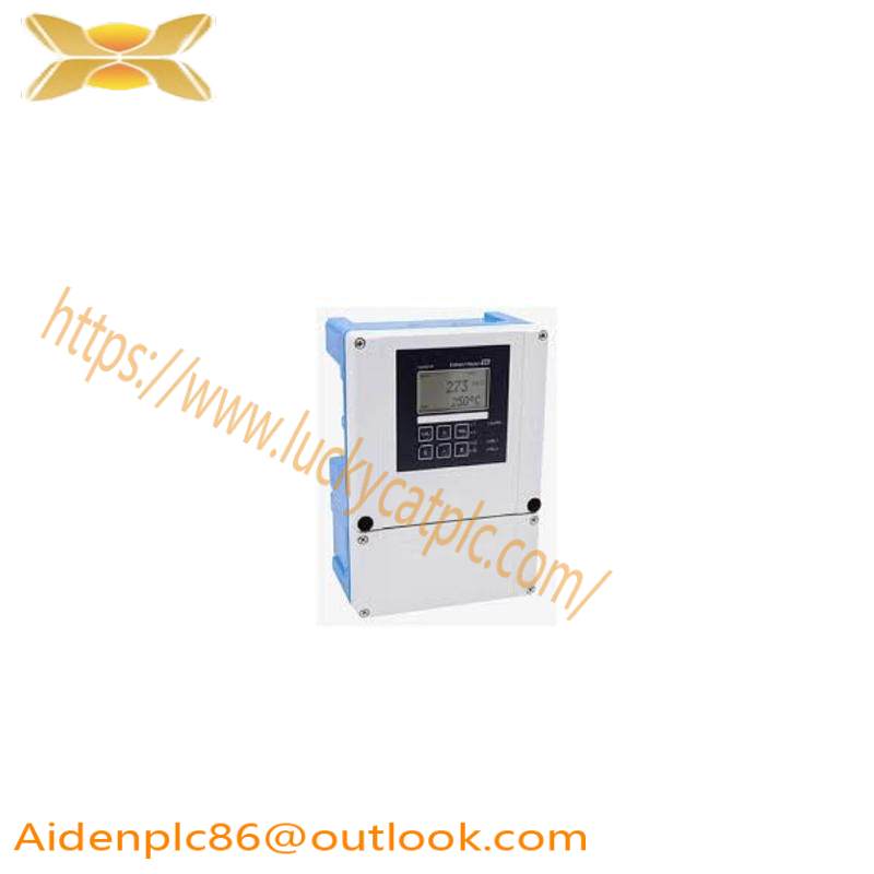 E+H COM253-WX0005 Dissolved Oxygen Measurement