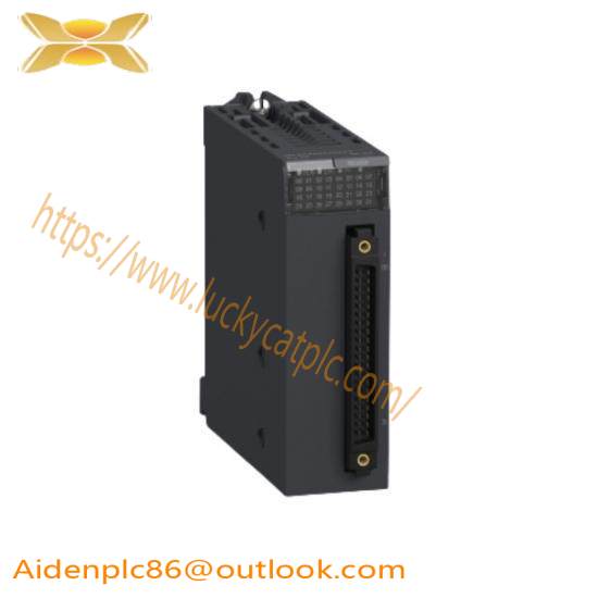 Discrete Input Module BMXDD032O2K  Schneider Electric