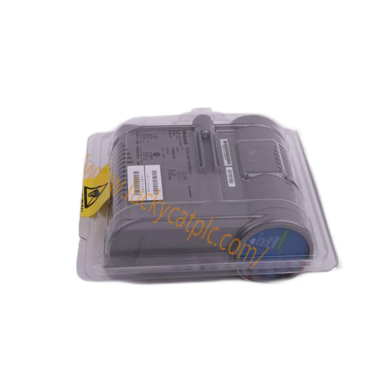EMERSON VE4001S2T2B4  DeltaV System