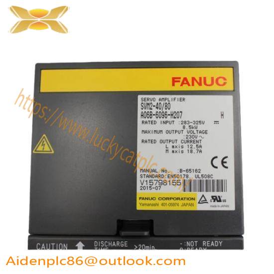 Fanuc A06B-6096-H207  GE Servo Module
