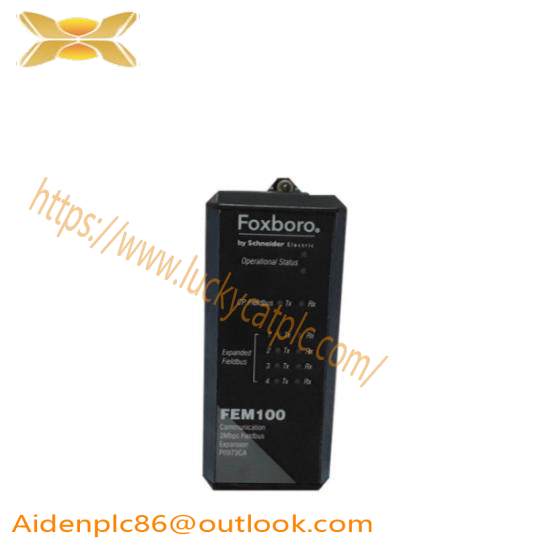 Foxboro FEM100 P0973CA  I/A Series Expansion Module