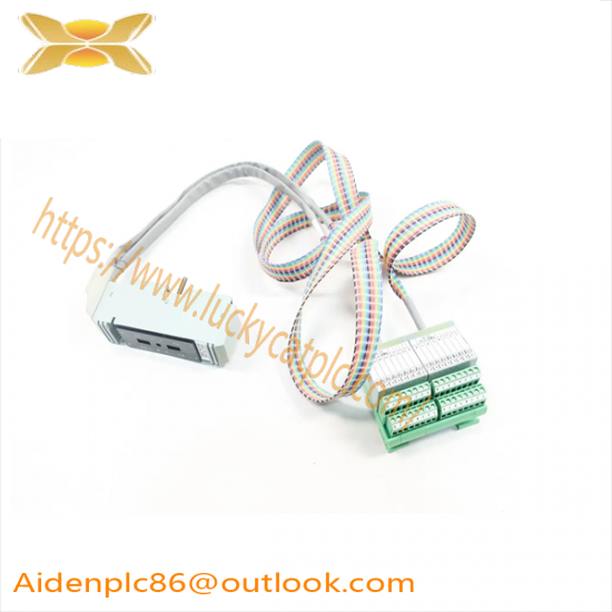 FOXBORO P0500SR Termination Cable Assembly