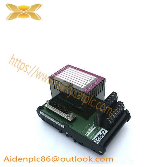 FOXBORO P0916AC