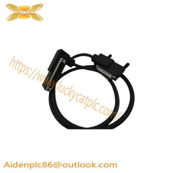 Foxboro RH916DB  Termination Cable