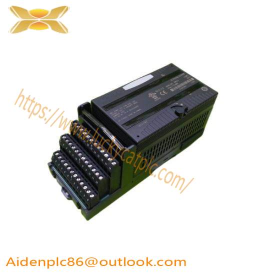 GE Fanuc IC200ALG266F input module