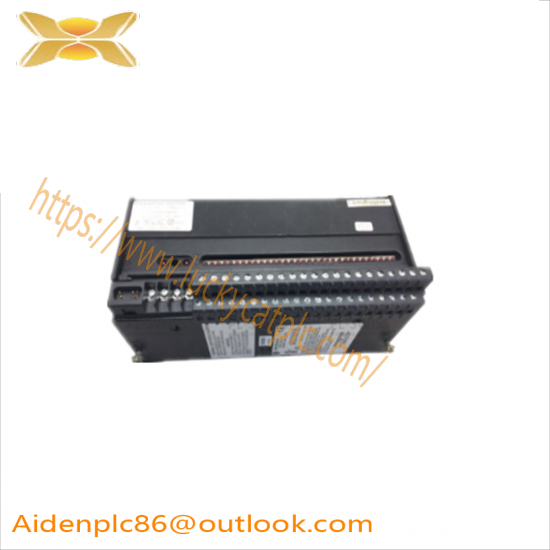 GE FANUC IC660TBD024M memory module