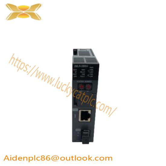 Honeywell 2MLR-DBST-CC 2MLR-DBSF-CC 2MLR-DBSH-CC  Expansion Driver Module