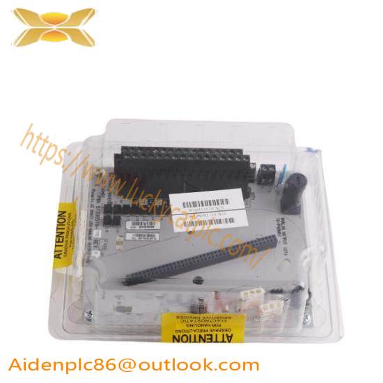 Honeywell DC-TAON01  Digital Module