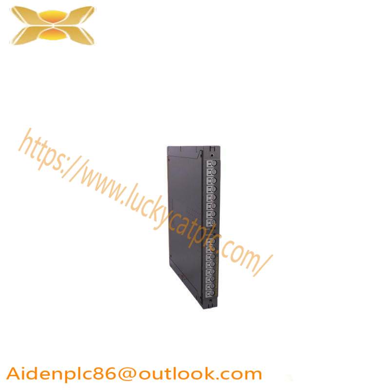 ICS TRIPLEX T811B Module